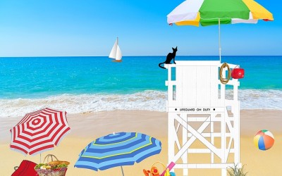 5 Top Tips for Summer First Aid