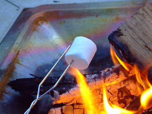 Toasting marshmallow on camp fire