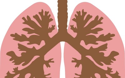 Importance of Respiratory Rate